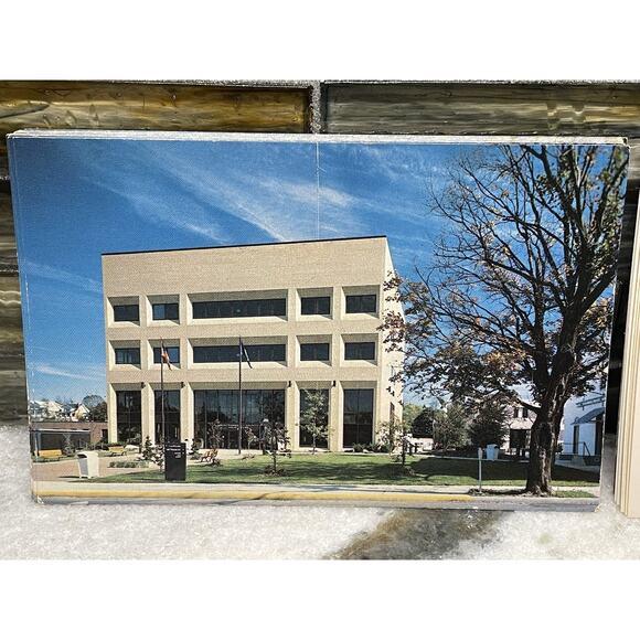 Vintage Postcard Lot Montgomery County Courthouse & Blacksburg Pasture Virginia - Picture 2 of 5